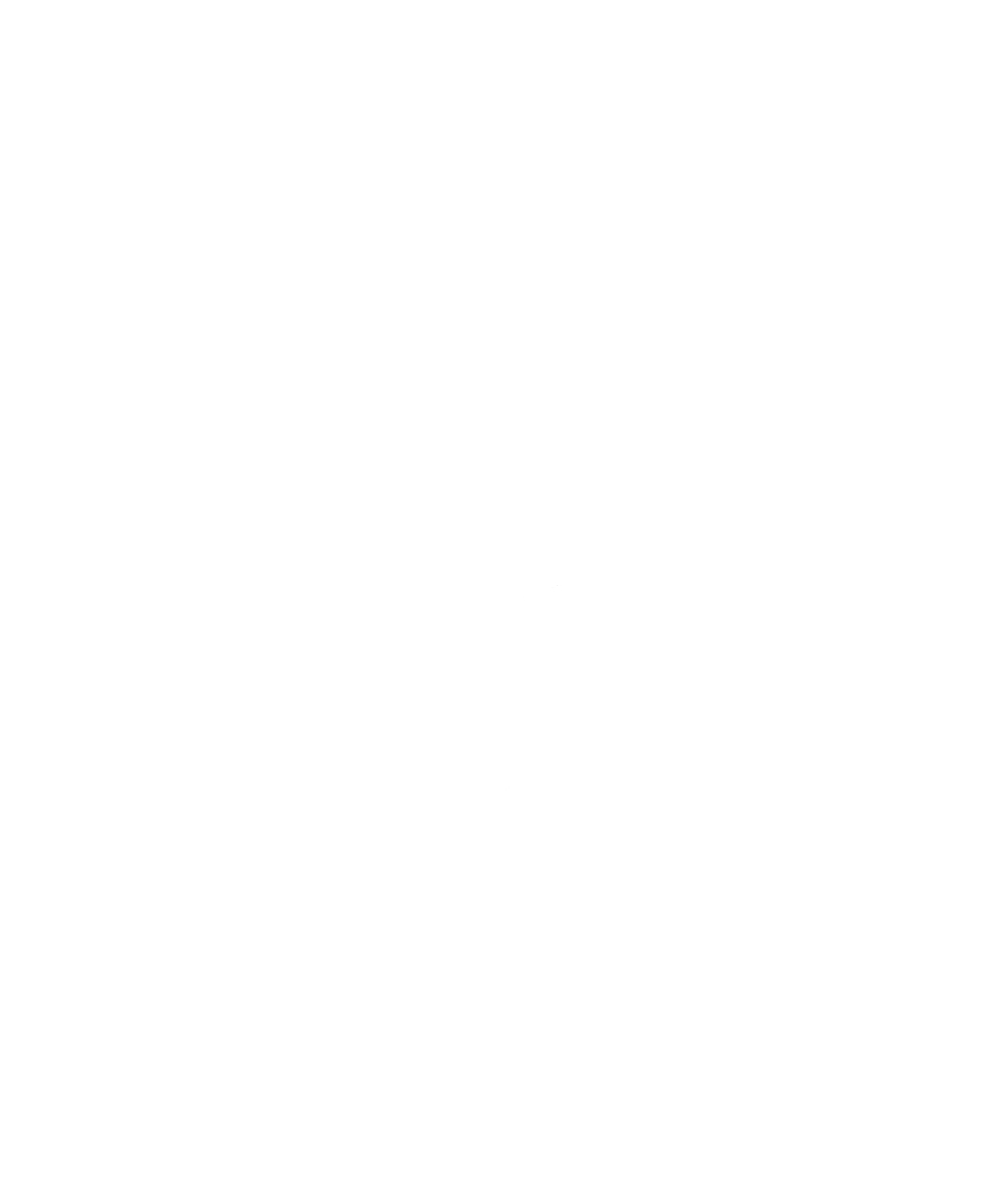 Rail Fights